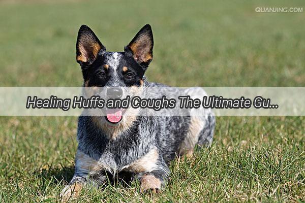 Healing Huffs and Coughs The Ultimate Guide to Medications for Your Wheezing Canine Companion